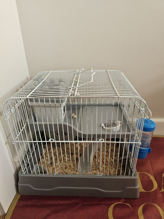 Продам хомяка с клеткой