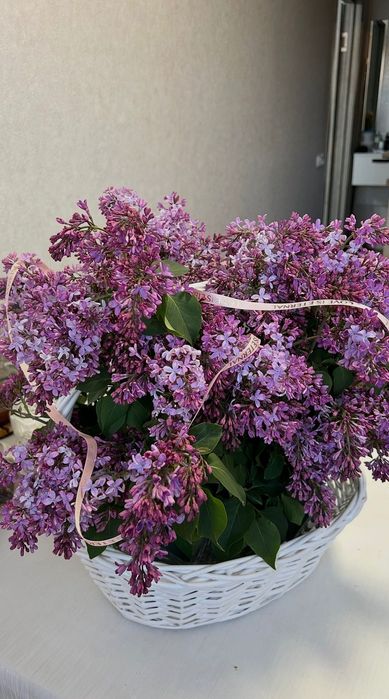Букет цветы сирень