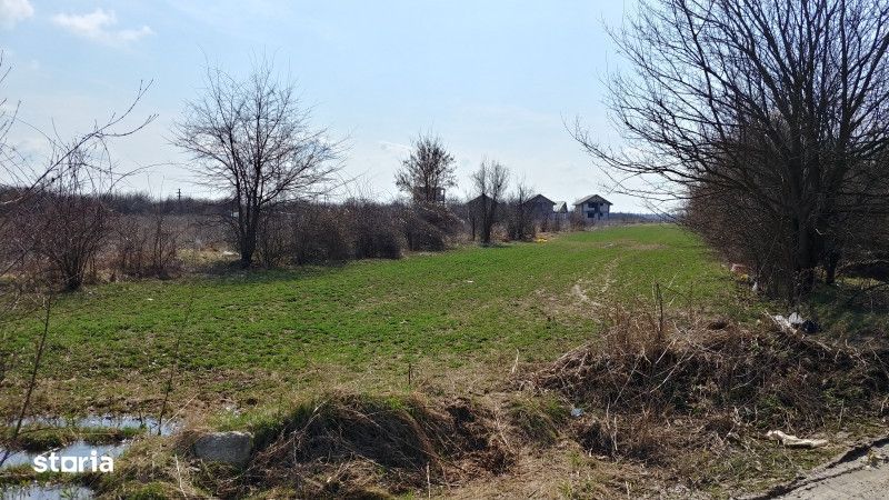 Teren intravilan Magurele langa padurea Cornetu si Arges