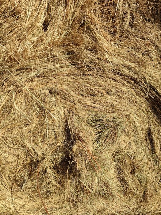 Сено разнотравье в рулонах