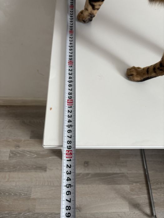 Продам офисный стол