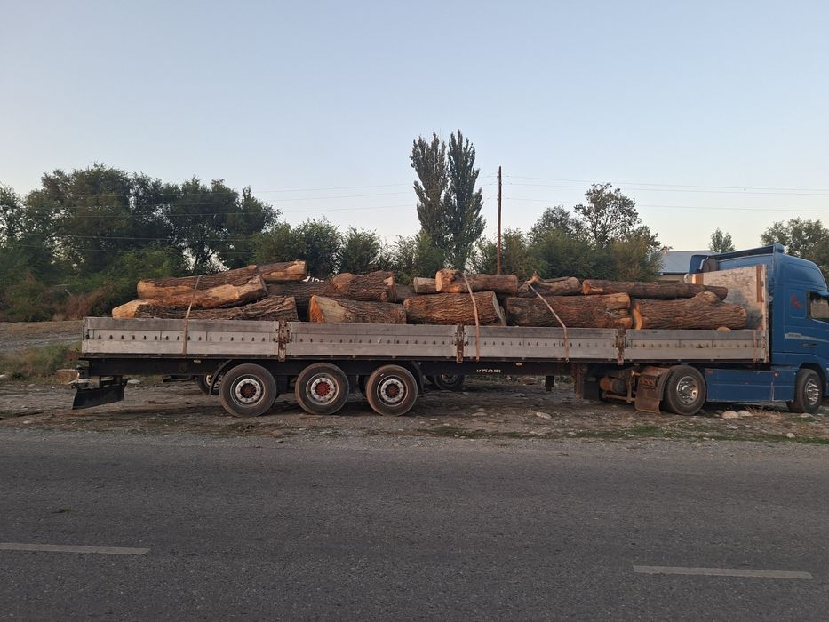Продам  карагач бровны