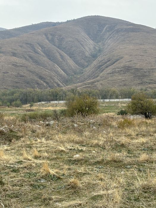 Сдам участок в аренду