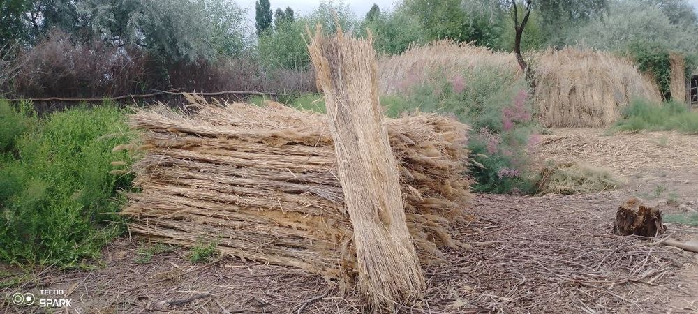 Хабарласың плита бар