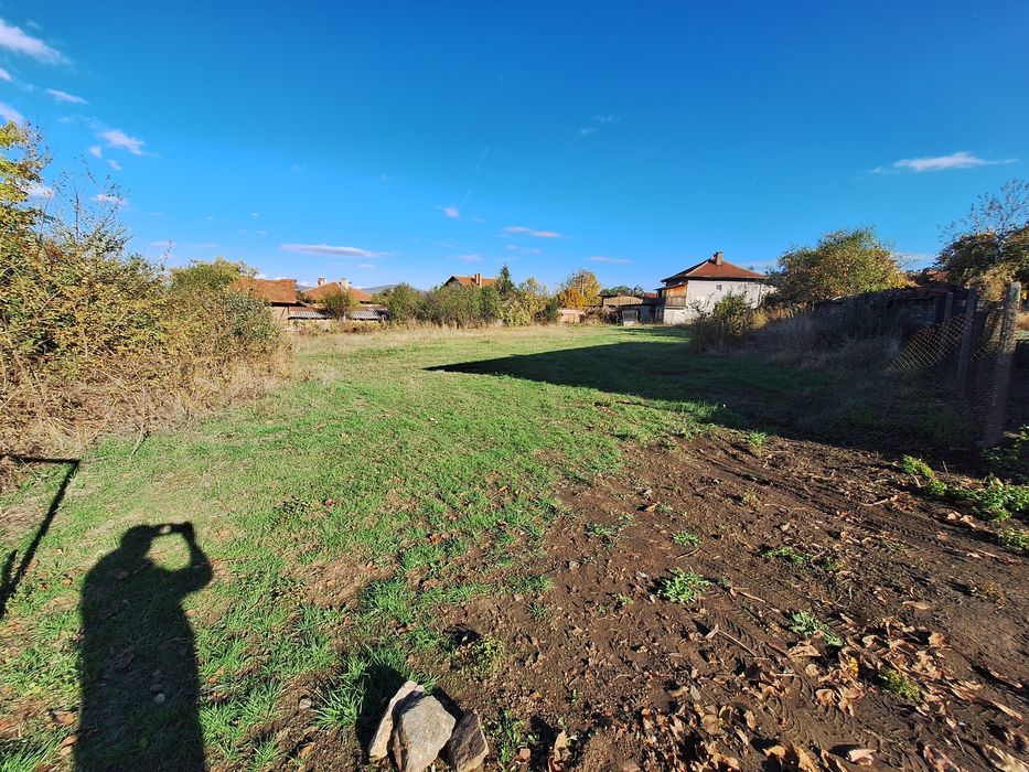 Дворно място в регулация