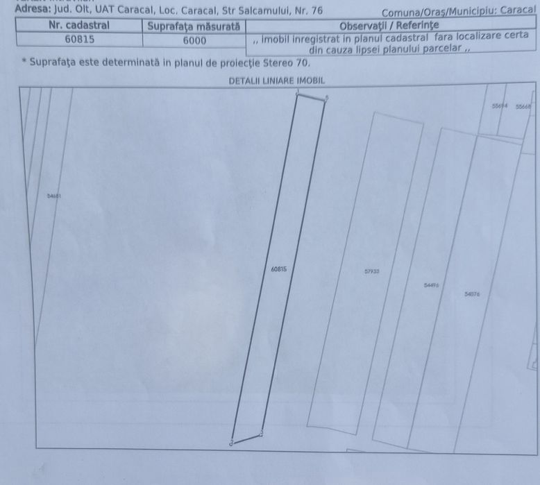 Teren Intravilan 6.000 mp Caracal – Str. Salcâmului / Ideal Cartier Case / Profit Garantat din Parcelare
