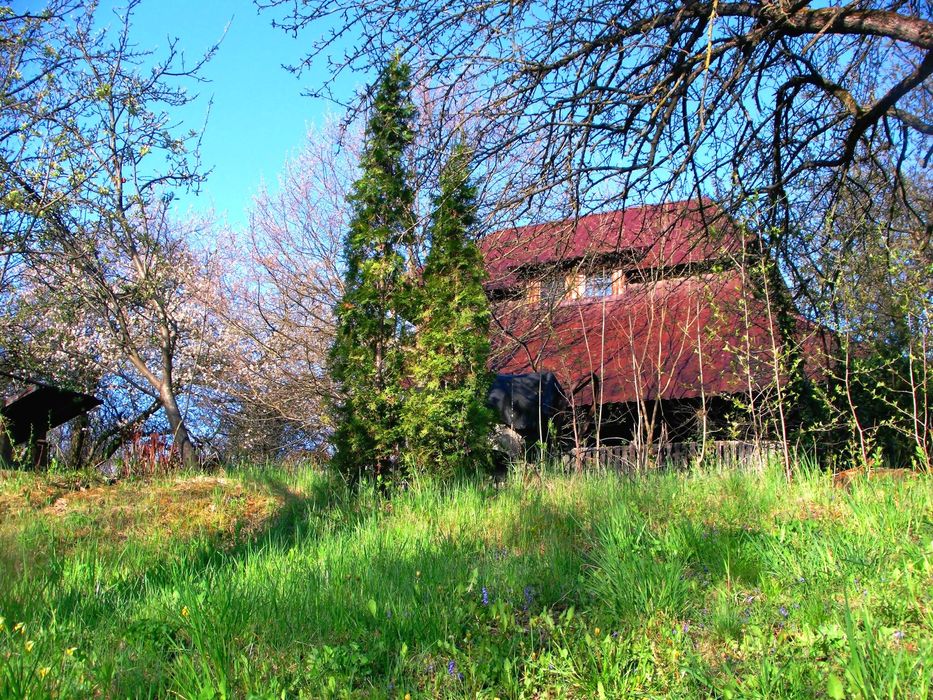 Vand teren intravilan 14000mp + IZVOR puternic in jud. CLUJ