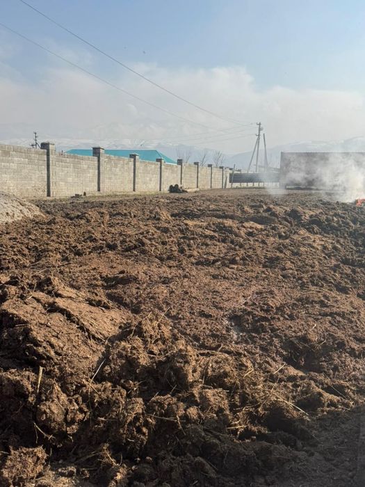 Навоз бесплатный