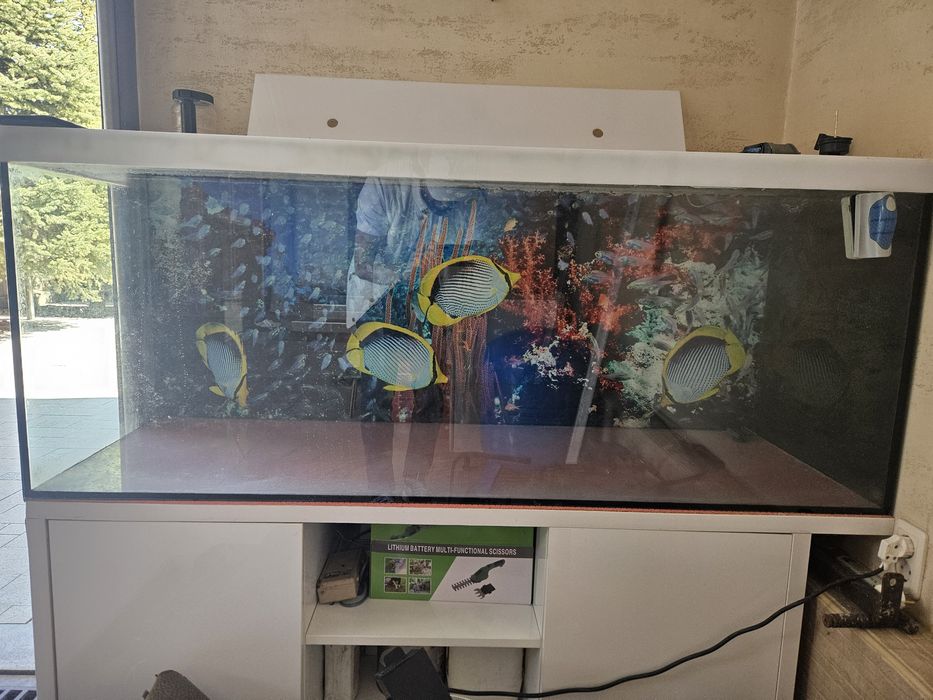 Аквариум для рыб