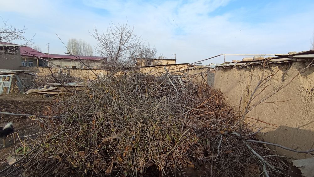 Drova suxiie vadvare