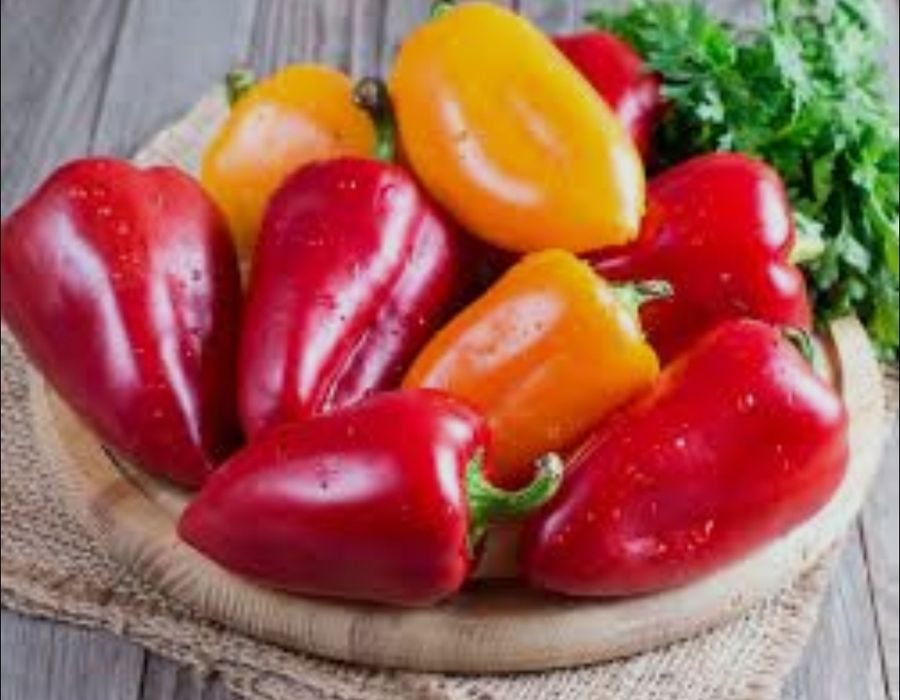 Рассада овощей и цветов