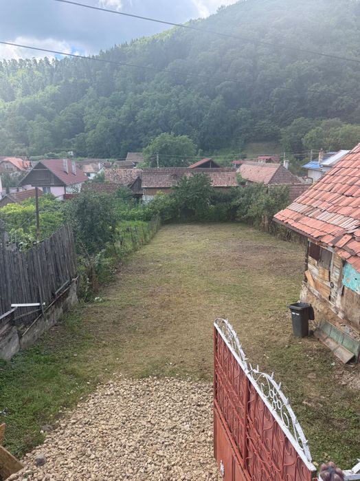 Curățare Terenuri Sibiu | Defrișări, Tocare Crengi și Grădinărit