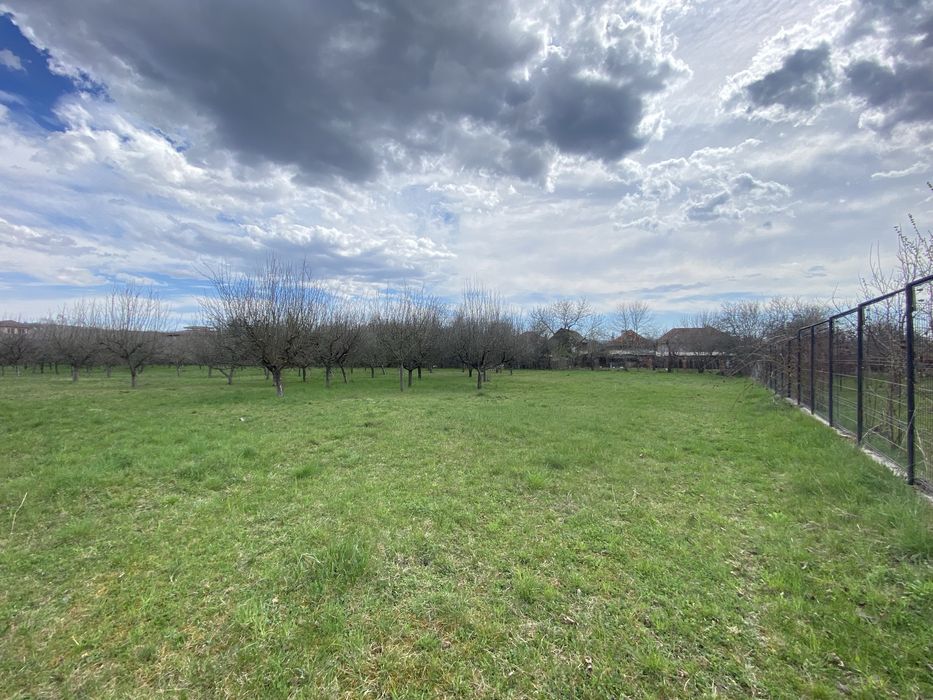 Teren intravilan ( 7000 mp )