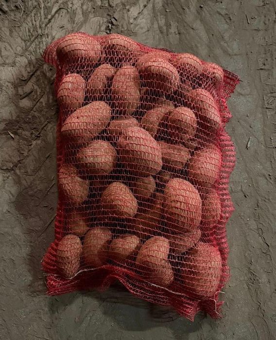 Cartof alb-rosu Franța lux