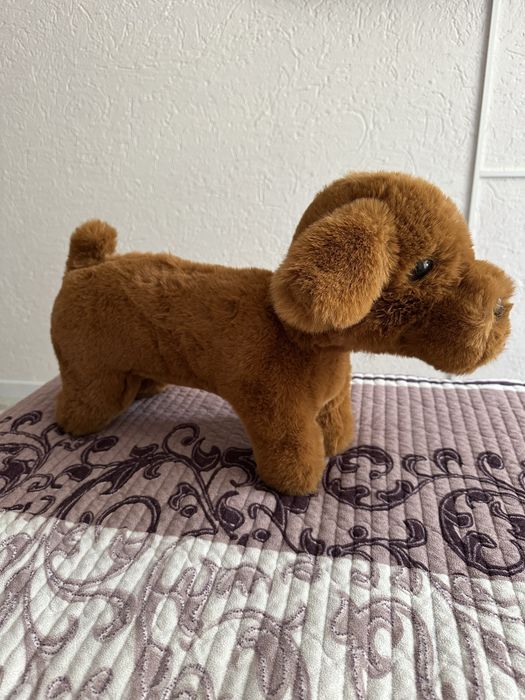 Собача счастья для вашего любимца