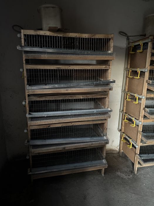 Клетка для перепелов