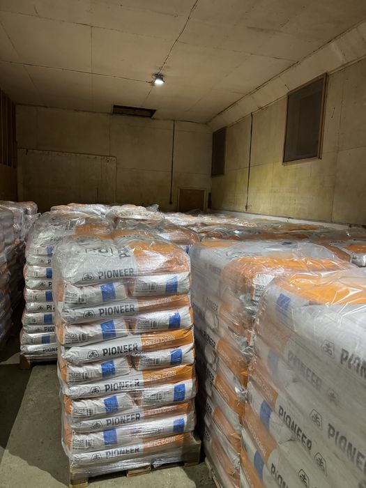 Samanta porumb, floare PIONEER NEOMA