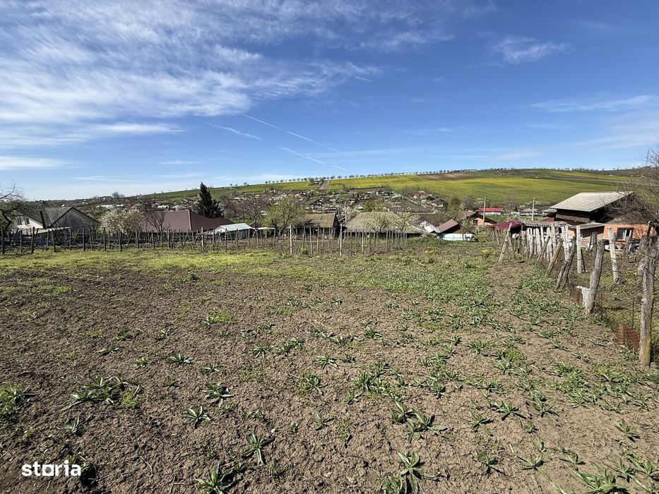 Teren 3550mp, 10km de Iasi, casa
