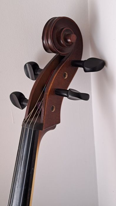 Violoncel 4/4 Reghin