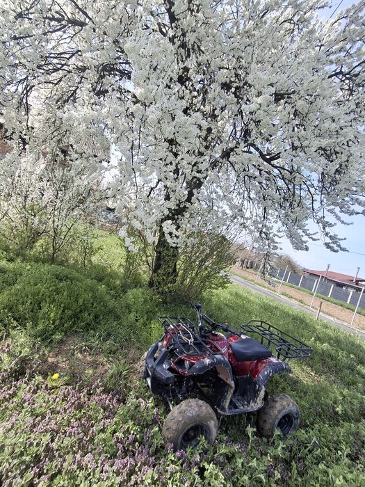 Vănd atv 110cc pentru copii