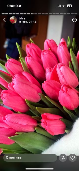 Голландские тюльпаны – только оптом!