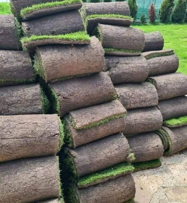 Gazon rulou 50 ron +montaj inclus