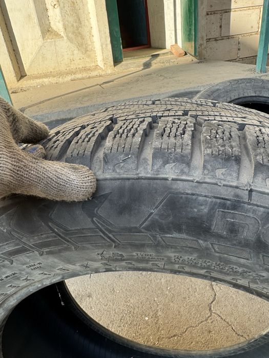 проаю зимних шин