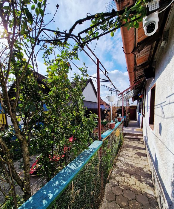 Casă de vânzare, teren 2450 mp Cefa Bihor