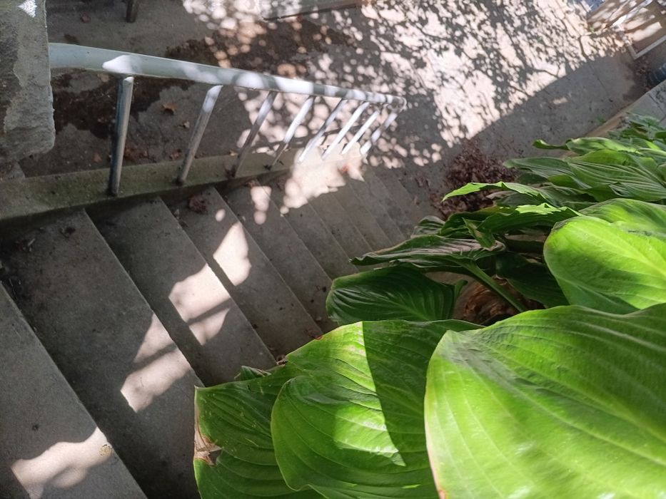 Продава се Къща в Плевен, Мара Денчева - 160 кв.м за 782 €/кв.м - Снимка #8