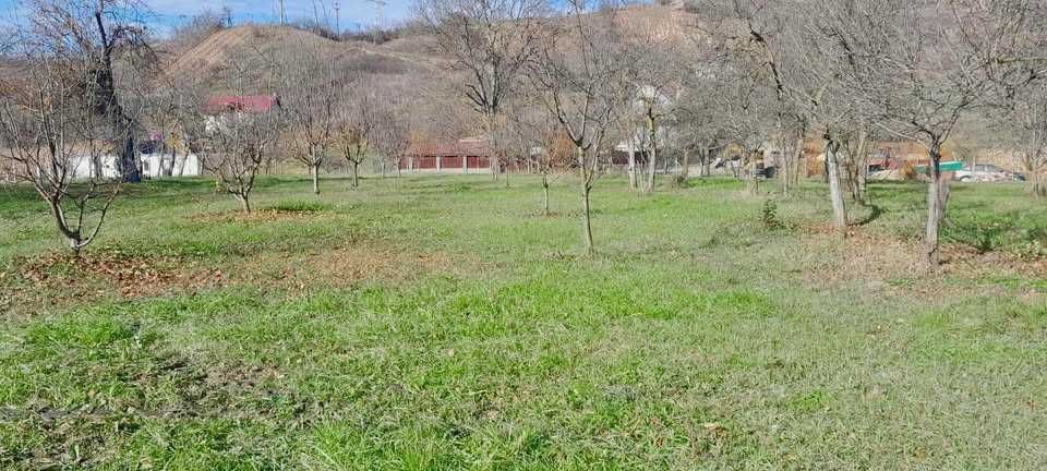 Teren intravilan de vanzare la Teaca jud. Bistrita Nasaud, pret negociabil
