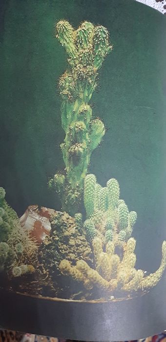 Книга для любителей комнатных цветов.