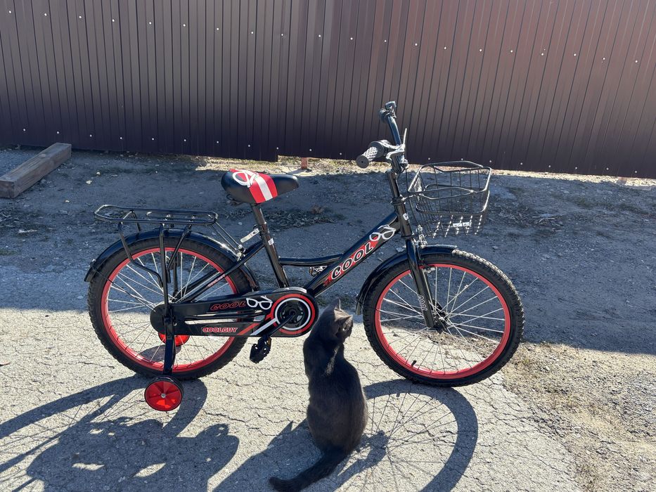 Велосипед (до 10 лет)