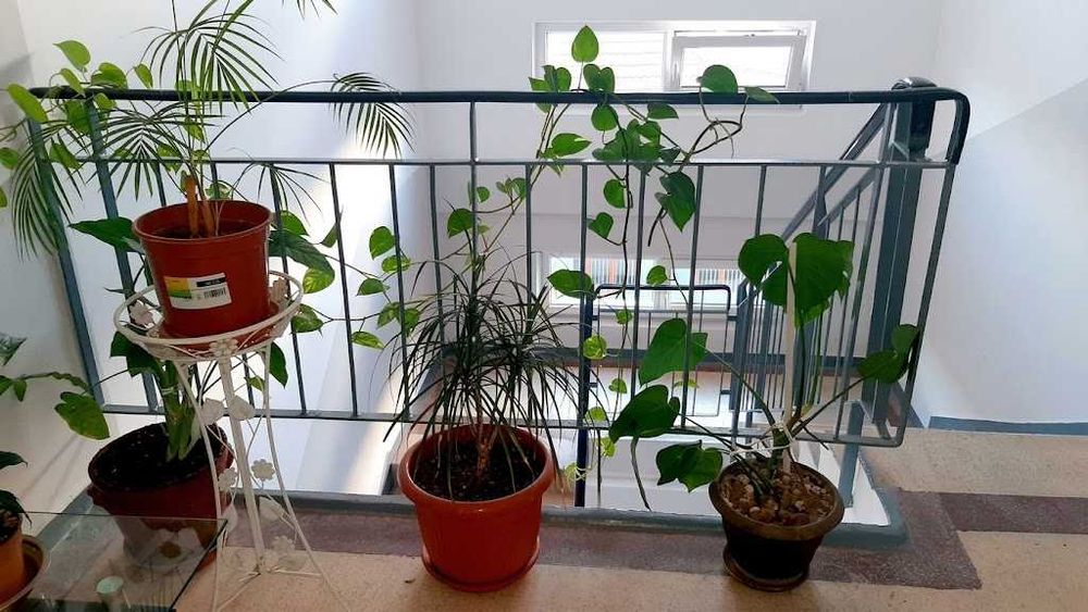Închiriez locuință în centrul Braşovului, zona Filaromonicii