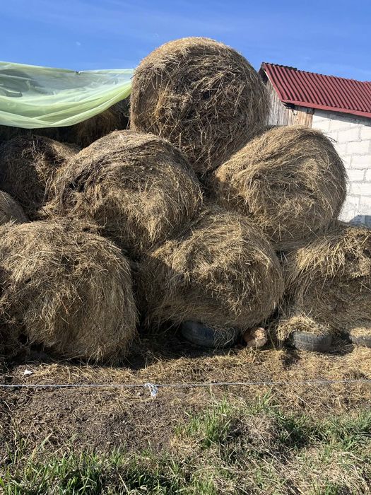 Vând baloți de fân