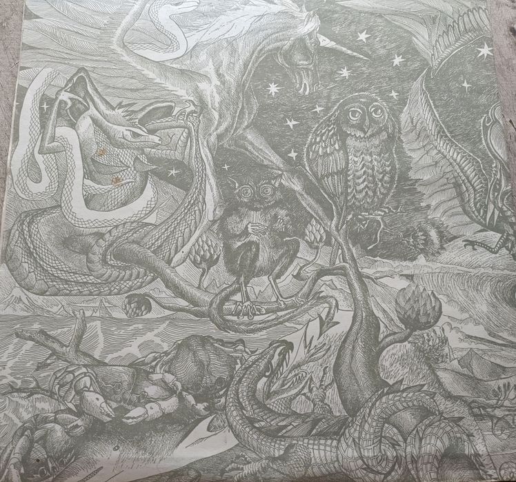 Phoenix vinil  Cantafabule