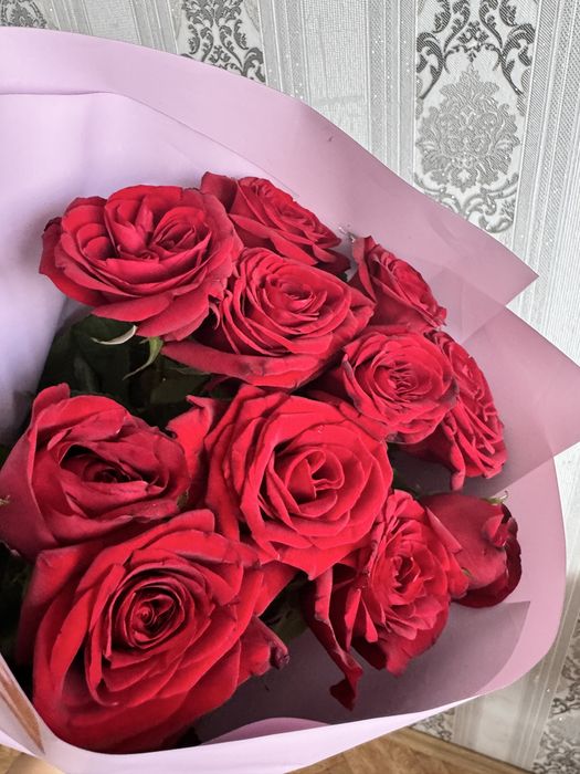 цветы красные розы,11 штук