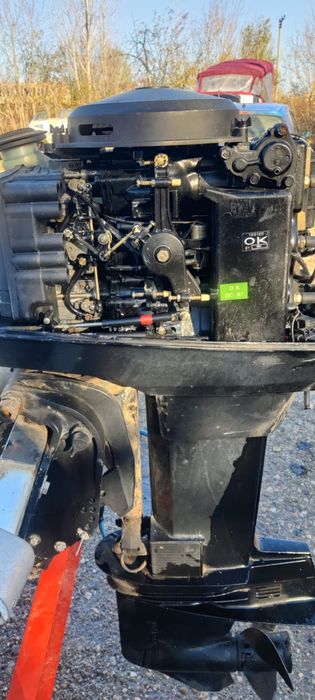 Mercury formula 25/50