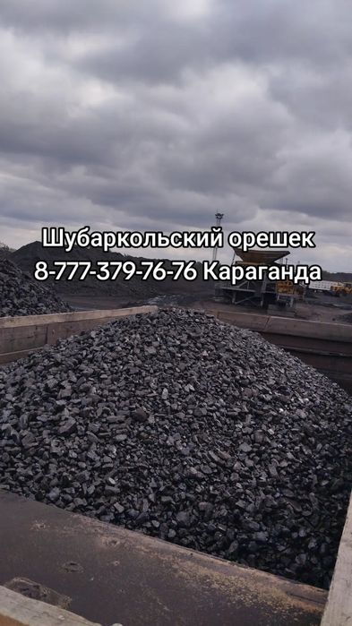 Уголь Шубаркольский Кузнецкий к12 Цоф Рапид