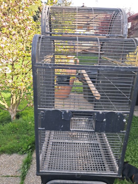 Vând Colivii pentru Păsări exotice