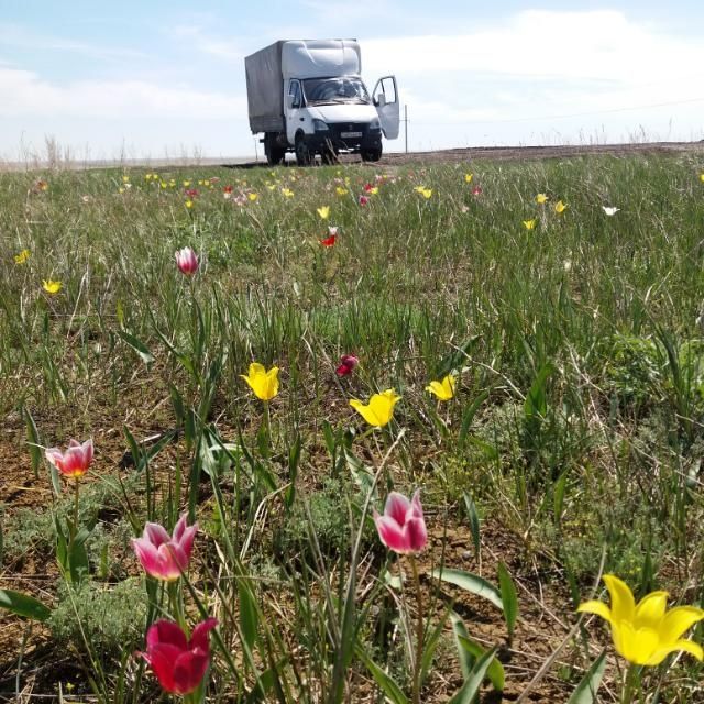 Газель, грузоперевозки