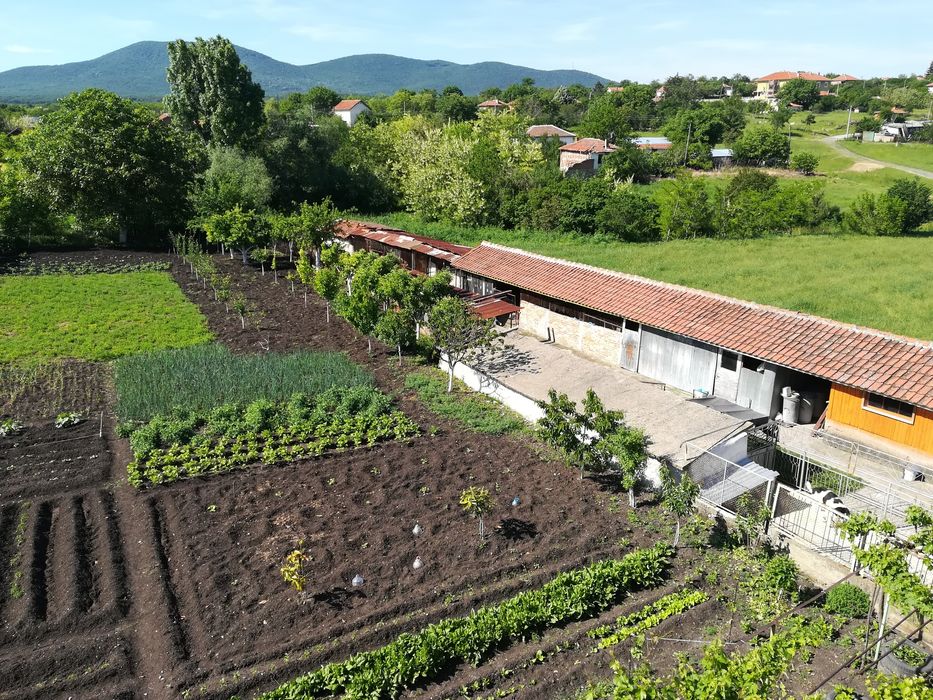 Продава се Къща в с. Миладиновци, Област Ямбол - 475 кв.м за 232 €/кв.м - Снимка #4