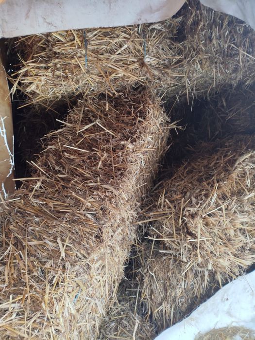 Vand baloti de paie de trichitale