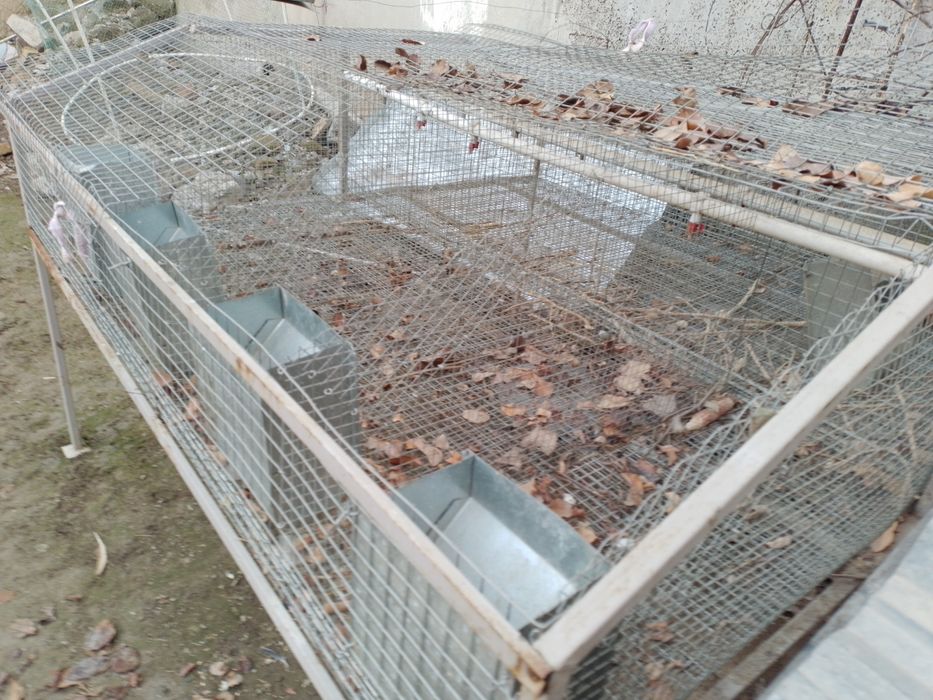 Клетка для кроликов