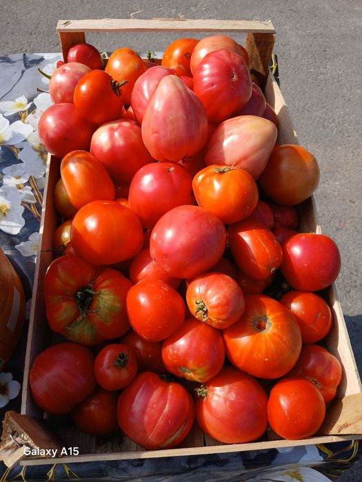 Vand legume  roși castraveti fasole