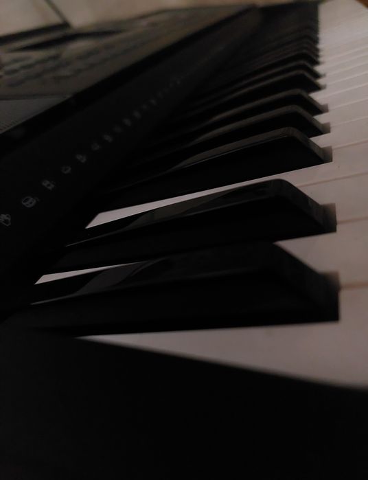 Синтезатор MEDELI A 1000