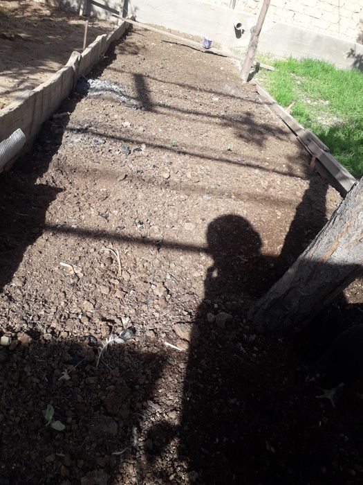 Чириган гонг Биагомус