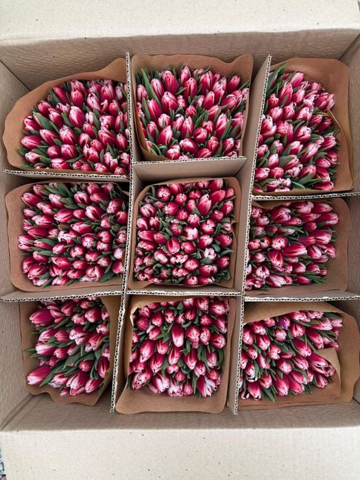 Тюльпаны по 680 .