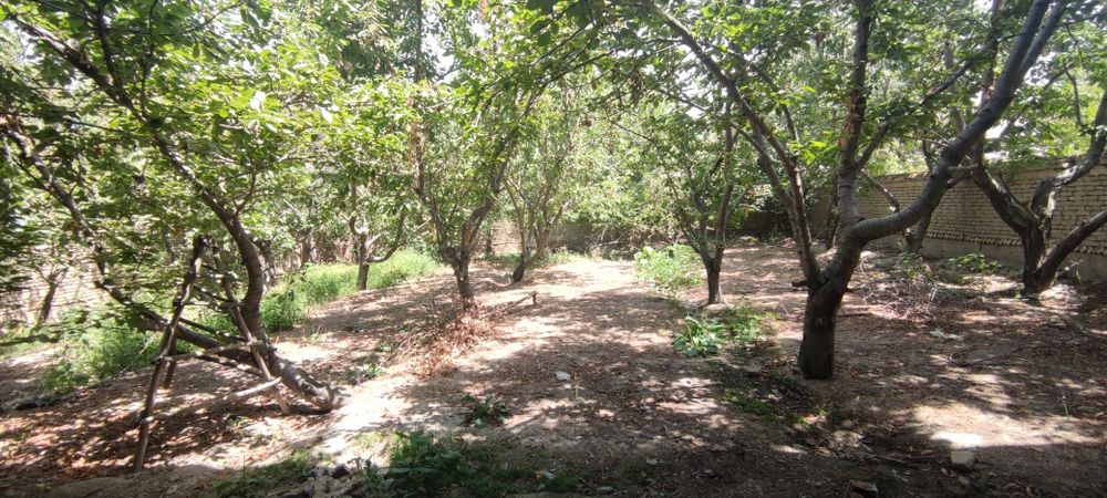 Hovli uy 6sotik 2 etajkaAndijon tuman Terak tagi MFY Yuksak kochasi