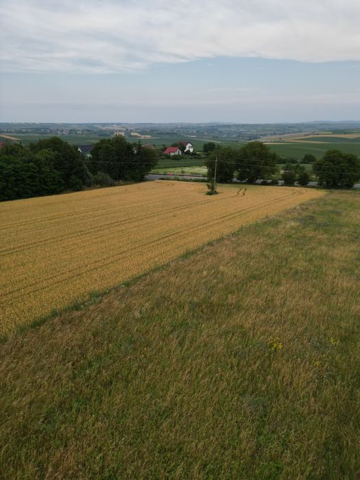 Teren de vânzare – 2.800 mp – între Frumoasa și Liteni