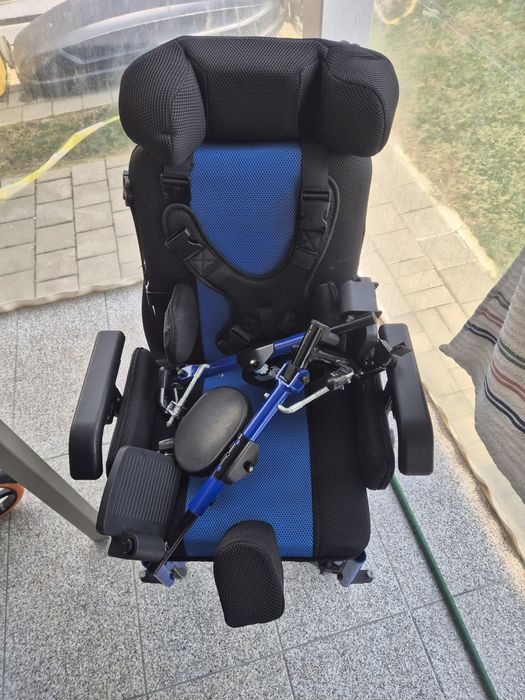 Carut copii cu dizabilitati